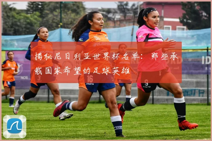 揭秘尼日利亚世界杯名单：那些承载国家希望的足球英雄